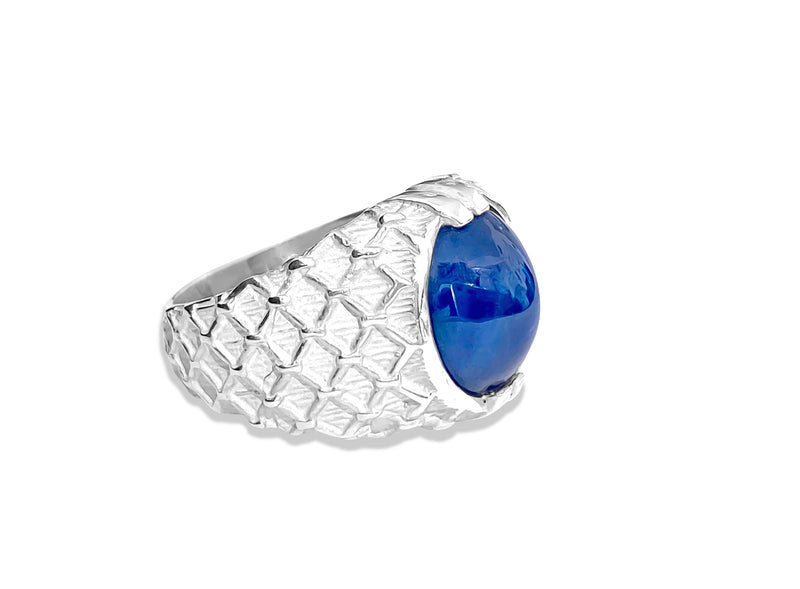 Lucky, Sterling Silver & Natural 6ct Blue Sapphire Ring - Prince The Jeweler lucky-sterling-silver-natural-6ct-blue-sapphire-ring, Rings, wk_end_auction